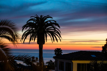 Obraz premium Colorful San Diego California Sunset with a Palm Tree Silhouette