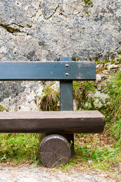 part of pank in wood of dolomiti trentino