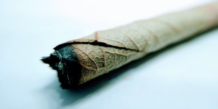 Burned bidi on white background