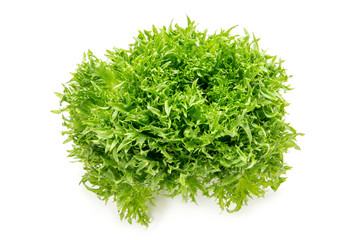 ハンサムグリーン