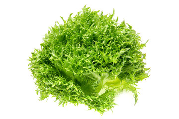 ハンサムグリーン