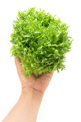 ハンサムグリーン