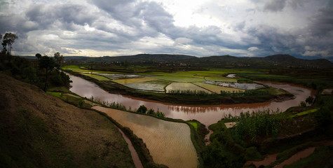 Landscape with the rice fields and Onive river at Antanifotsy,Madagascar