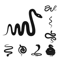 Vector illustration of nature and medicine icon. Collection of nature and evil vector icon for stock.