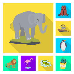 Vector design of safari  and animal icon. Set of safari  and fun  stock vector illustration.