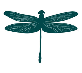 Libelle · dragon-fly
