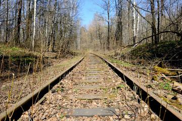 Rusty rails of the abandoned railroad in the forest