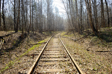 Fototapeta premium Rusty rails of the abandoned railroad in the forest