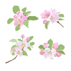 Blossoming apple tree branches with flowers and buds