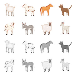 Isolated object of breeding and kitchen  icon. Set of breeding and organic  vector icon for stock.