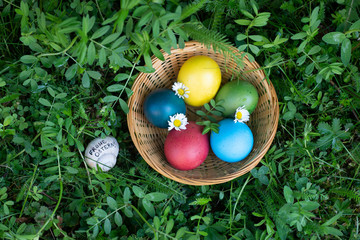 Frohe Ostern! Osternest mit bunten Eiern im Grünen