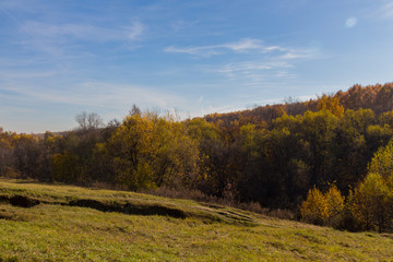 Fototapeta premium Landscape view in the park