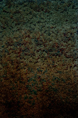 grungy wall textures and backgrounds for your projects text or image