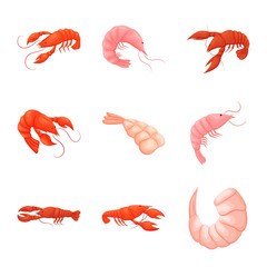 Vector illustration of shrimp and crab logo. Collection of shrimp and sea stock vector illustration.