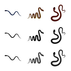 Isolated object of mammal and danger sign. Collection of mammal and medicine stock symbol for web.