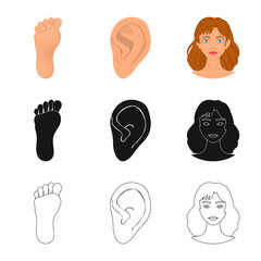 Vector illustration of body and part icon. Collection of body and anatomy stock symbol for web.