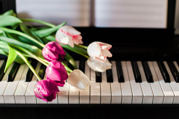 Tulips on piano. Concept of romantic music or melody, gift with flowers.