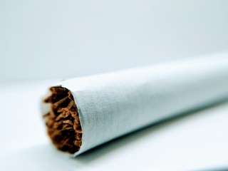 Cigarette on white background
