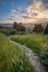 Obraz premium Path to Jerusalem