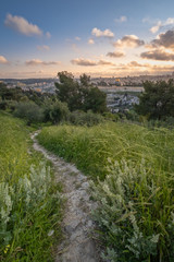 Path to Jerusalem