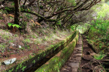 Beautiful landscape view of the hiking path in nature on the green island Madeira, during a hike on 25 Fontes trail along a famous levada