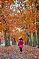 Woman walking among colorful red and yellow foliage trees in garden during autumn at Wilhelm Külz Park in city of Leipzig, Germany