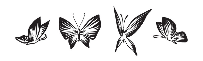 Hand drawn butterflies set outline sketch. Vector black ink drawing isolated on white background. Graphic illustration