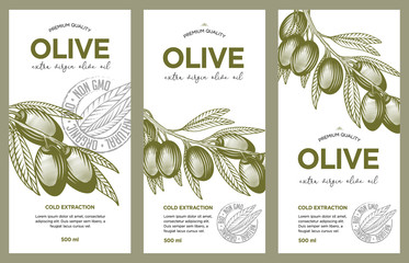 Olive oil label set. Vector hand drawn illustration of olive branches in engraving technique. Templates for olive oil packaging design. 
