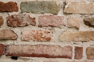 large ant next to spider web on wall, dilapidated, old, destroyed