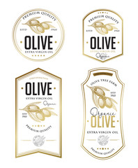 Olive oil badge label design set. Vector hand drawn illustration of olive branches in engraving technique. Vintage templates for olive oil packaging. 