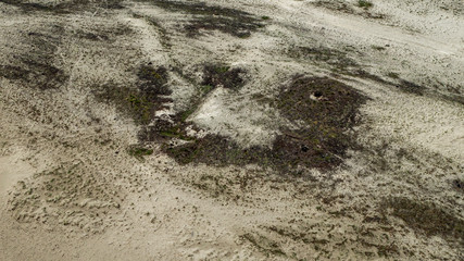 mars from poland