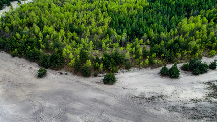 Obraz premium woods and sand