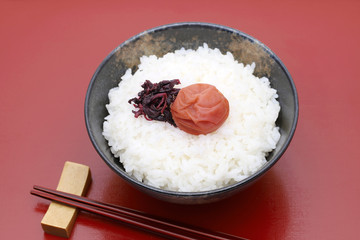 梅干し　しその葉　白米