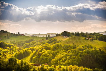 Grape hills view from wine road in Austria. South styria vineyards landscape. Sulztal