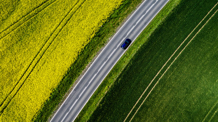 Car and rape © Piotr