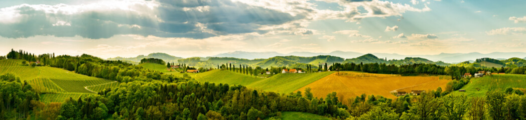 Fototapeta premium Grape hills view from wine road in Austria. South styria vineyards landscape. Sulztal