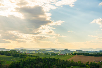 Fototapeta na wymiar Grape hills view from wine road in Austria. South styria vineyards landscape. Sulztal