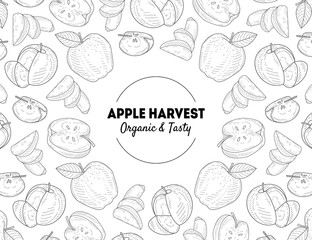 Apple Harvest Banner Template Organic and Tasty Natural Fresh Fruits Hand Drawn Vector Illustration