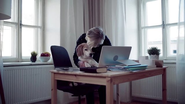 Active senior woman with laptop and dog working in home office.