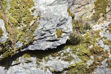 Obraz premium roche rocher pierre mousse vert