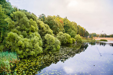 quiet lake with dense greenery on the shore