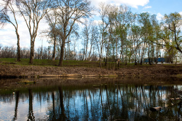 a small mirror lake surrounded by trees without leaves and a blue sky with clouds floating on it