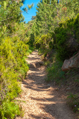 Hiking trail to the Pic du Cap Roux near Antheor