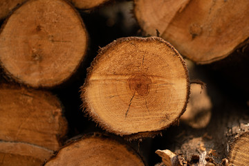 Industrial background logs