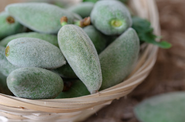 Fresh green unripe almonds
