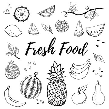 Hand drawn fruits set vector illustration isolated on white background. Pineapple, apple, pear, lemon, banana, watermelon, pomegranate. Whole, parts, leaves and brunches sketch style collection.