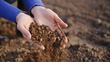 Fresh soil in hands