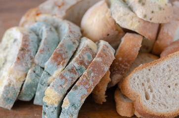 Moldy bread slices