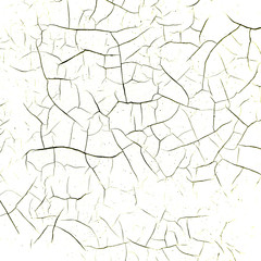 Fototapeta premium Crack wall texture