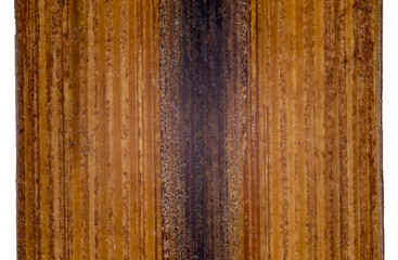 Obraz premium Burnt wood extreme macro background